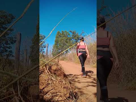 Caminhada sertaneja Comunidade Santa Rita município Vianópolis Goiás Brasil