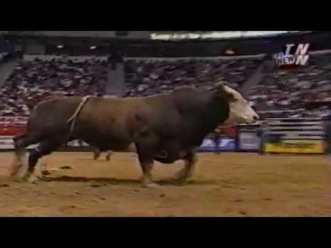 Hammer bucks Claudeny Dos Santos - 02 PBR Finals