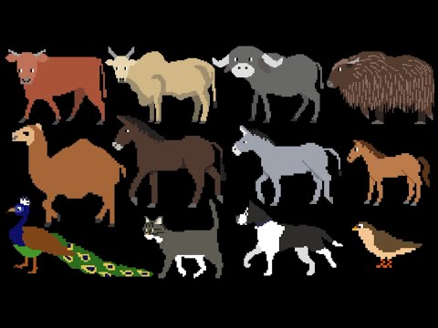 Farm Animals 2 - @TheKidsPictureShow