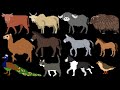 Farm Animals 2 TheKidsPictureShow