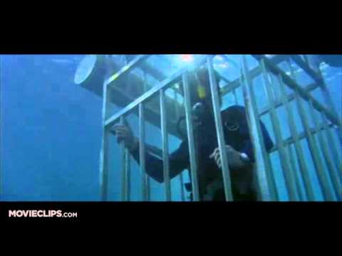 download lagu mp3 mp4 Lo Squalo 2 Streaming, download lagu Lo Squalo 2 Streaming gratis, unduh video klip Lo Squalo 2 Streaming