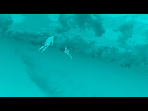 PARTY FAVOR: THE ISOLATION ALBUM - WHAT I IMAGINE FLYING FEELS LIKE