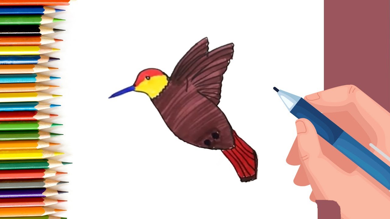 How to Draw Humming Bird for Kids