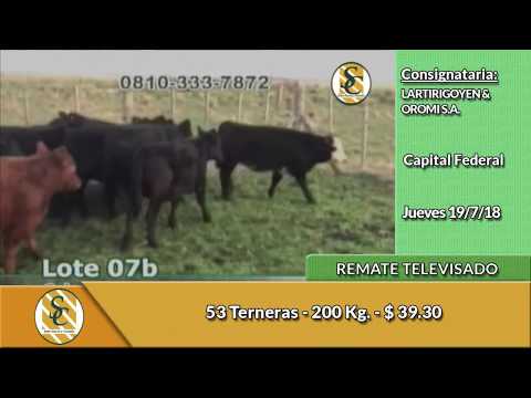 19-7-18 - Remate Televisado de LARTIRIGOYEN & OROMI - Capital Federal