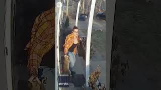 Download lagu Heroic mom saves terrified five-year-old from raccoon attack | USA TODAY #Shorts mp3 Download lagu Heroic mom saves terrified five-year-old from raccoon attack | USA TODAY #Shorts mp3