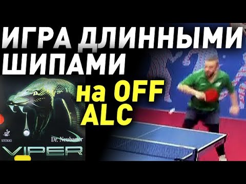 Strong grip long pips Dr Neubauer Viper 1.0 mm on Off ALC blade DHS Hurricane 301: Kalenik Sergey