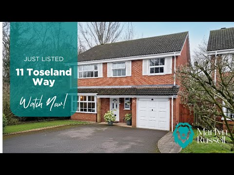 You’ve got to see this family home backing onto green space | Maiden Erlegh catchment
