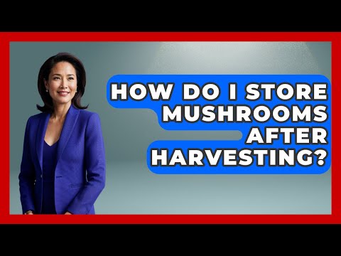 How Do I Store Mushrooms After Harvesting? - Survival Skills for Everyone