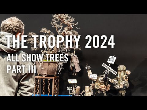 Bonsai Trophy 2024, all show trees part 3