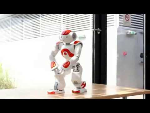 semut merah tkr 1 aku mah apa atuh 2