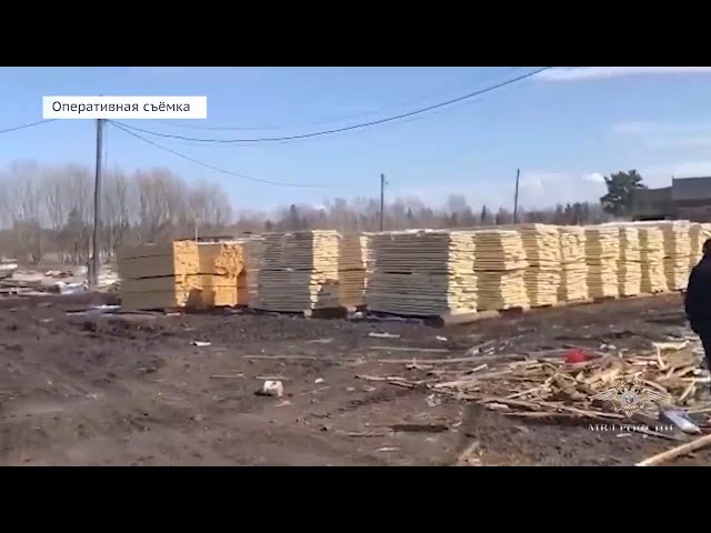 Незаконная рубка леса