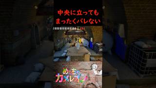 目の錯覚を利用してバレない方法【めっちゃカメレオン】
