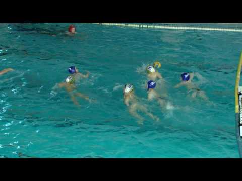 Los alevines del Club Waterpolo Algeciras, en la final del Campeonato de Andalucía