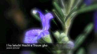 I ha letscht Nacht e Troum gha - Patent Ochsner