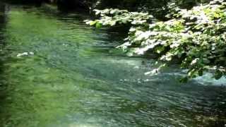 Omar Akram   Echoes of Love