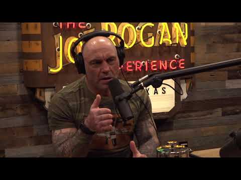 JRE MMA Show #109 with Gordon Ryan