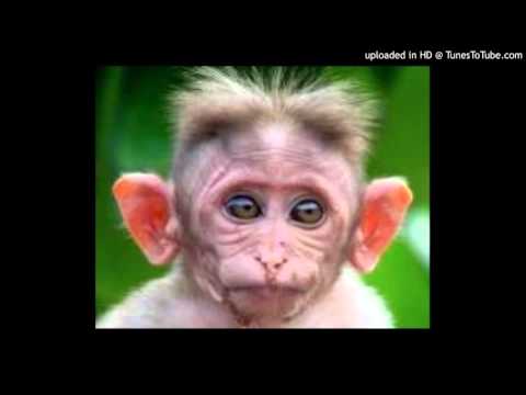 Today's Tango Is... El Monito - Julio De Caro 23-07-1925