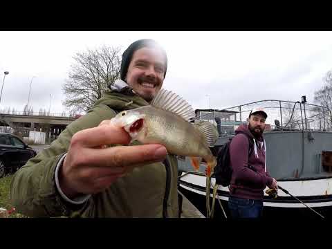 Streetfishing Aalst 2019