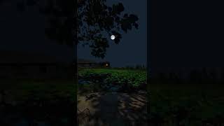 Download lagu SUASANA Pedesaan Saat Malam Hari Ditemani Rembulan Malam Sebagai Penenang hati #shorts mp3