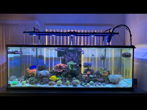 My 180 gallon reef tank equipment