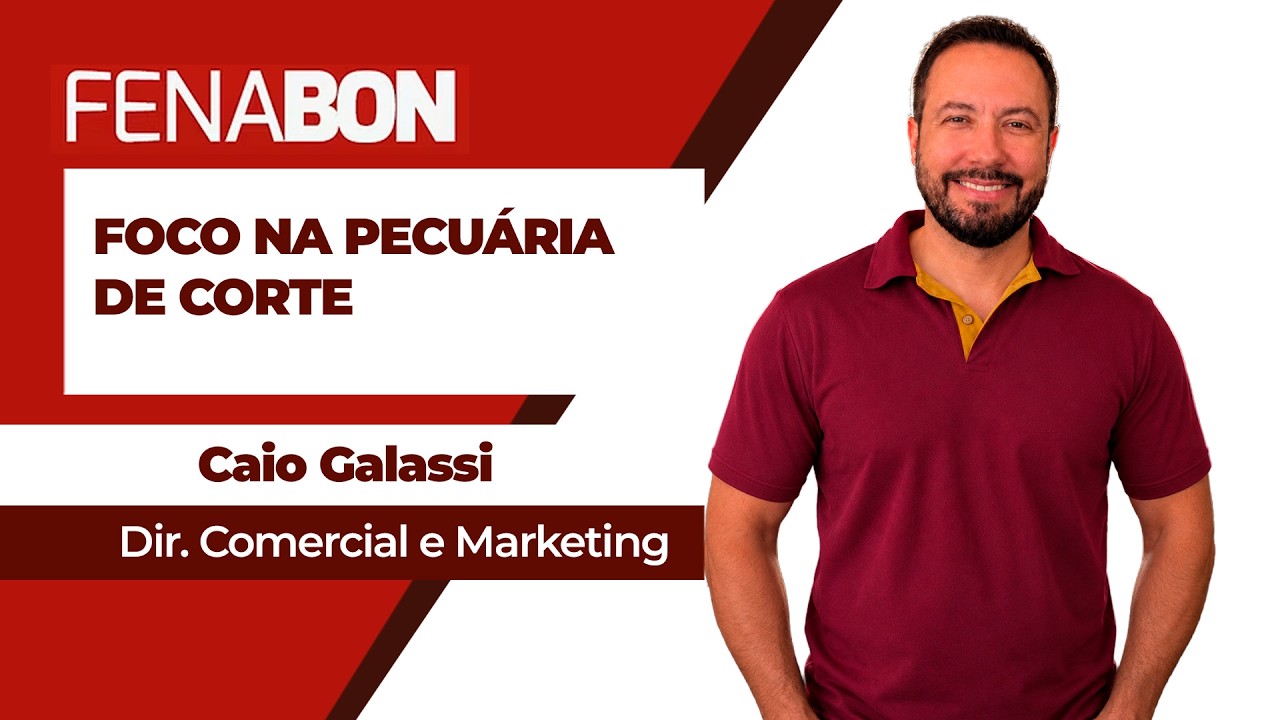 Grupo Bom Negócio amplia atuação e foca na pecuária de corte