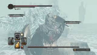 DARK SOULS™ II  Scholar of the First Sin - Aava, the King's Pet Boss Fight