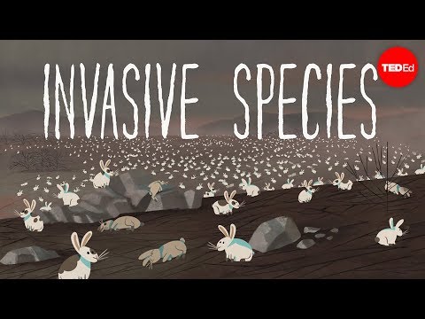 image-What is meant by invasive species?