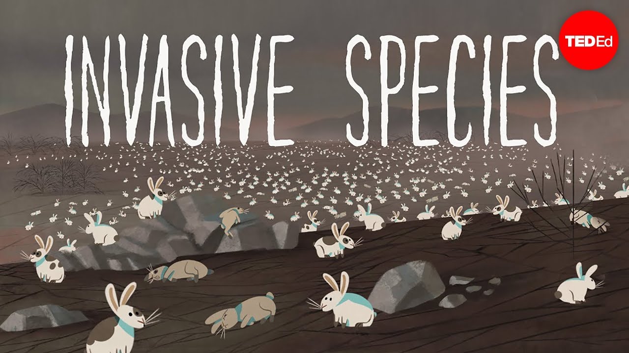 The Threat of Invasive Species Video Thumbnail