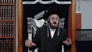 הרב מנחם מנדל פומרנץ - פרשת חיי שרה - שוין לטובה