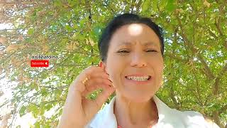 QUAIS RAÍZES ESTÃO CRESCENDO NA SUA VIDA?