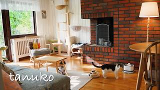 人生18回目のお引っ越し✨ 北欧で新しい暮らしが始まります🇸🇪
