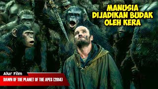 Download lagu DISAAT MANUSIA DIPAKSA TUNDUK PADA KERA | ALUR CERITA FILM mp3
