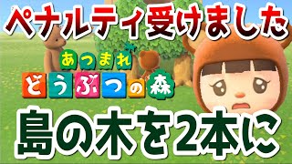 【あつ森】家具を効率よく得るために島の木を2本に！初のペナルティを受けました･･･【あつまれどうぶつの森】