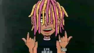 Lilpump-D rose