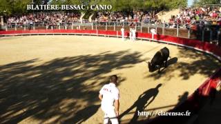 preview picture of video 'Vendargues course camarguaise 26 octobre 2014 partie 2'