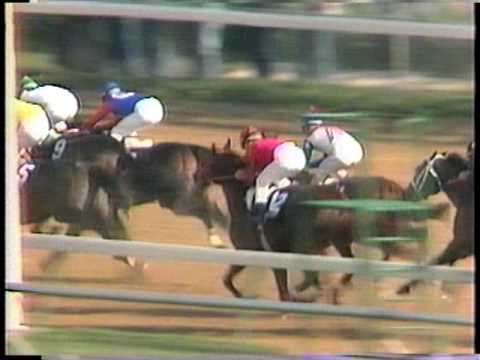 Arazi - 1991 Breeders Cup Juvenile (Post Race)