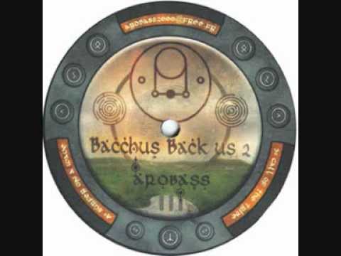 Arobass -Surfer On A Wave- (Bacchus Back Us 2)