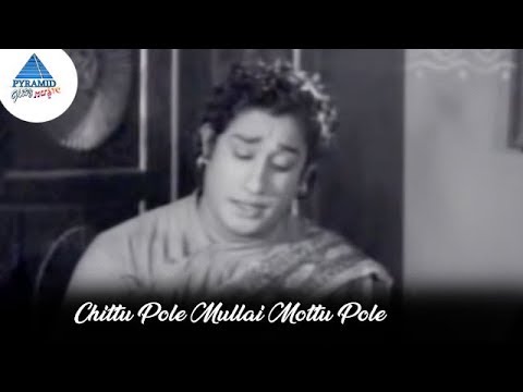 You are currently viewing Chittu Pole Video Song | Tenali Raman Songs | Sivaji | NTR | Bhanumathi | Pyramid Glitz Music
