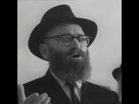 Paltava Rav's Niggun (Live) - Zalman Bronstein