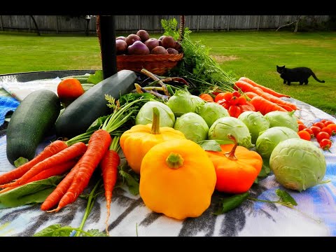 Don't make this mistake and you will be rewarded with FREE FOOD!