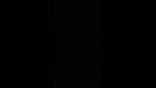 Sesame Street - The Alligator King (PAL)