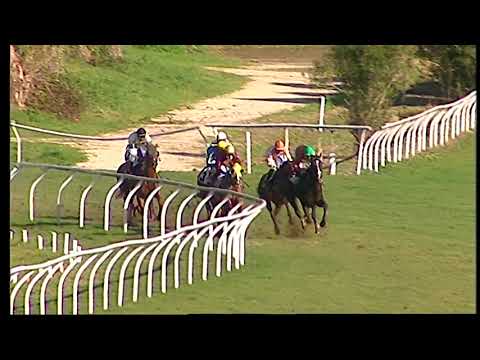 Napoli Galoppo 02/02/2021 - 3ª corsa