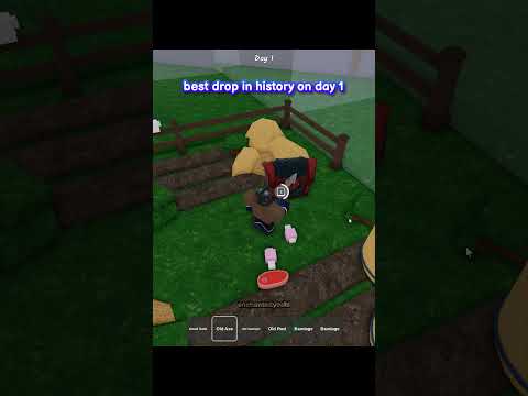 tactical shotgun on day 1 in 99 nights in the forest