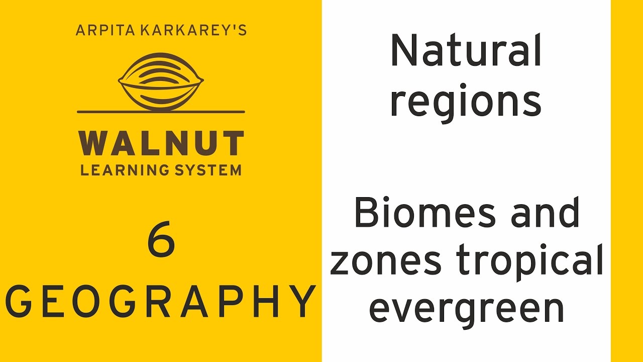 6 Geography - Natural regions - Biomes and zones tropical evergreen