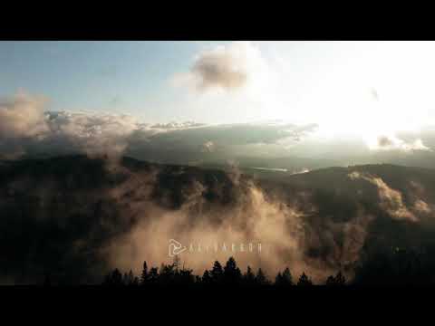 Pascal Junior ft. Bastien - In My Mind (Ali Bakgor Remix)