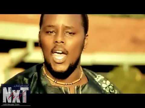 mr seed ft danko wellowello