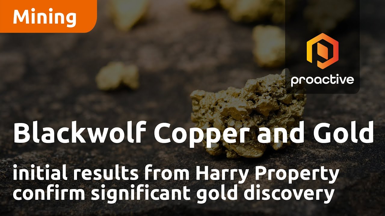 Blackwolf Copper and Gold initial results from Harry Property confirm significant gold discovery