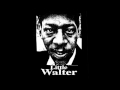 Little Walter - Ah´w Baby