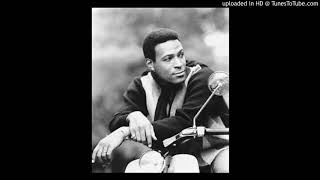 MARVIN GAYE - LITTLE DARLIN&#39; (I NEED YOU)