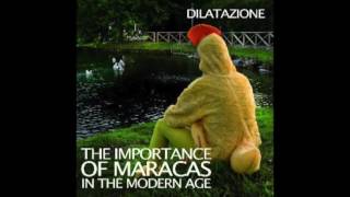Dilatazione - BETTINO KRAUTI (The Importance of Maracas in the Modern Age, 2010)